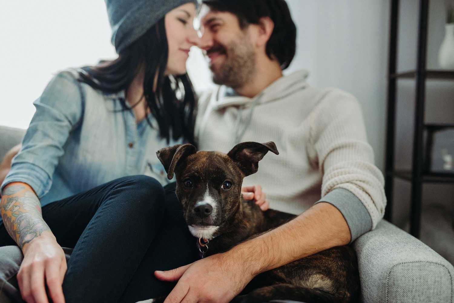 couple cuddling on the couch in home session with dog